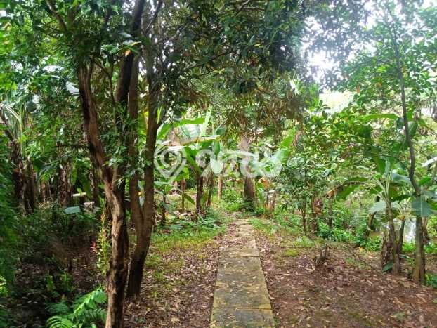Jual Rumah Harga Miring Sawangan Punya 2 Kamar & LT 1400m2 Jual Rumah Harga Miring Sawangan Punya 2 Kamar & LT 1400m2