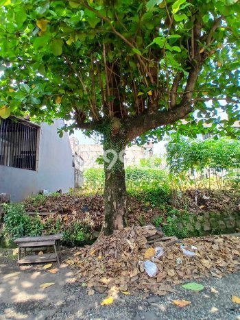 Dijual Tanah di Beji Depok Luas 102m2 SHM Dijual Tanah di Beji Depok Luas 102m2 SHM