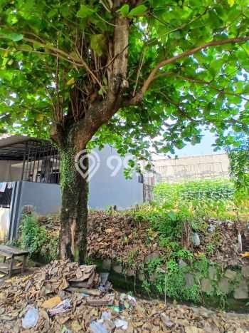 Dijual Tanah di Beji Depok Luas 102m2 SHM Dijual Tanah di Beji Depok Luas 102m2 SHM