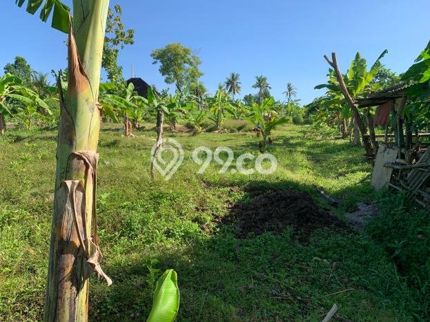 Tanah Kavling Dijual di Jembrana dengan Spesifikasi 6000m2 Tanah Kavling Dijual di Jembrana dengan Spesifikasi 6000m2