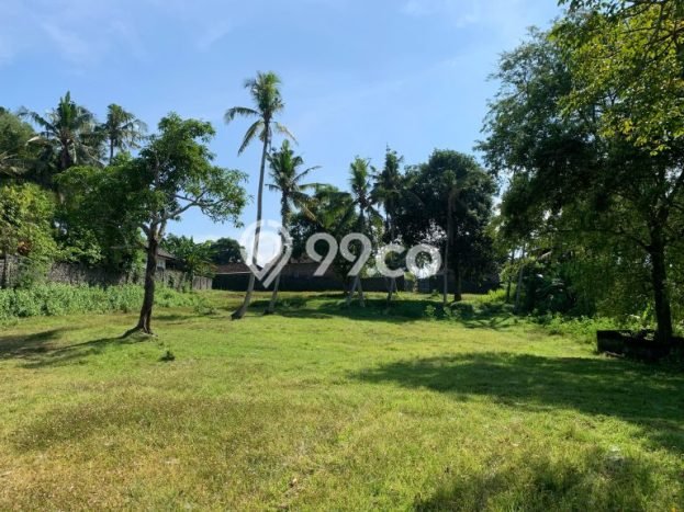 Tanah Dijual Area Strategis di Pulukan Jembrana 3000m2 Tanah Dijual Area Strategis di Pulukan Jembrana 3000m2