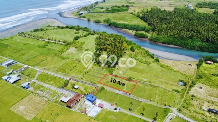 Dijual Tanah di Jembrana, Luas 1000m2 SHM Dijual Tanah di Jembrana, Luas 1000m2 SHM