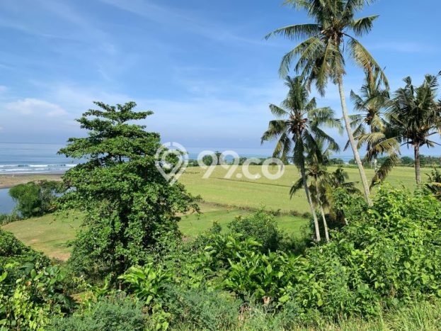 Tanah Dijual Area Strategis di Pulukan Jembrana 3000m2 Tanah Dijual Area Strategis di Pulukan Jembrana 3000m2