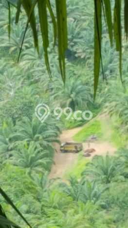 Tanah di Medan Labuhan, Medan Luas 5e+06m2 Dijual Segera Tanah di Medan Labuhan, Medan Luas 5e+06m2 Dijual Segera