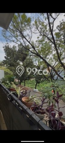 Jual Rumah Luas Megah Dengan View Eksklusif di Joglo, Jakarta Barat Jual Rumah Luas Megah Dengan View Eksklusif di Joglo, Jakarta Barat