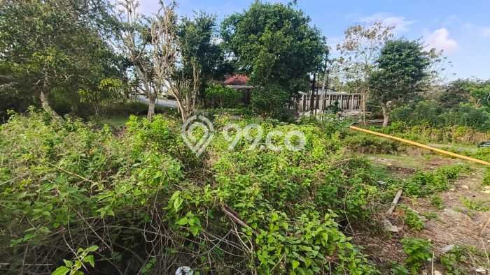 Tanah Kavling Dijual di Badung dengan Spesifikasi 200m2 Tanah Kavling Dijual di Badung dengan Spesifikasi 200m2