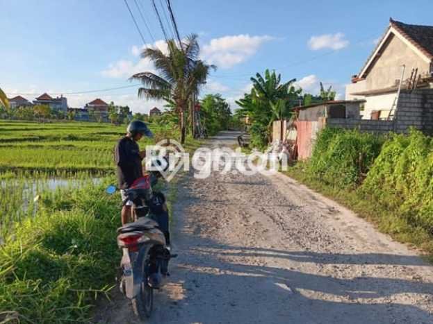 Kavling Tanah Dijual di Denpasar Utara Denpasar Spesifikasi 171m2 Kavling Tanah Dijual di Denpasar Utara Denpasar Spesifikasi 171m2