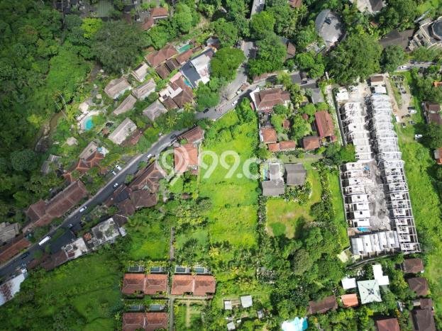 Lahan Strategis di Ubud Dijual dengan Luas 3735m2 Lahan Strategis di Ubud Dijual dengan Luas 3735m2