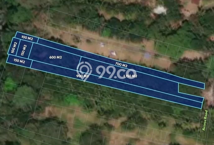 Tanah Kavling Dijual di Sangeh, Badung dengan Luas Tanah 3800m2 Tanah Kavling Dijual di Sangeh, Badung dengan Luas Tanah 3800m2