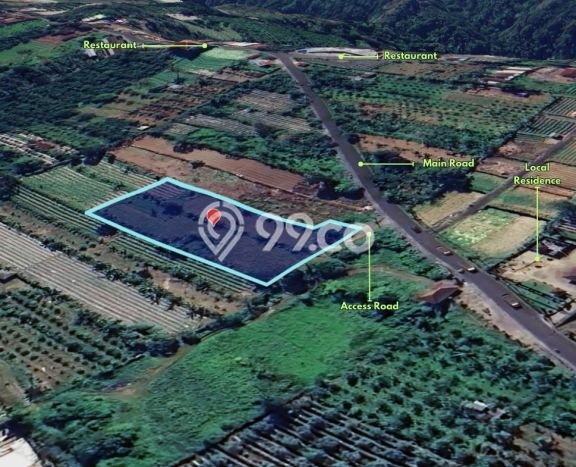 Tanah untuk Dijual Lokasi Petang, Badung Luas 3000m2 SHM Tanah untuk Dijual Lokasi Petang, Badung Luas 3000m2 SHM