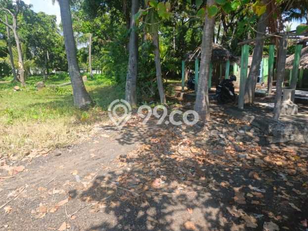 Tanah Dijual Lokasi Buleleng, Buleleng Luas 8600m2 Legalitas Aman Tanah Dijual Lokasi Buleleng, Buleleng Luas 8600m2 Legalitas Aman