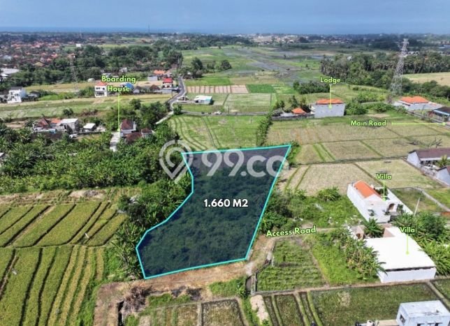 Lahan Dijual Lokasi Strategis di Tabanan dengan Luas 1660m2 Lahan Dijual Lokasi Strategis di Tabanan dengan Luas 1660m2
