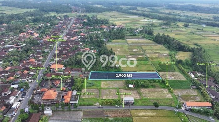 Disewakan Tanah Seluas 2900m2 di Mengwi, Badung Disewakan Tanah Seluas 2900m2 di Mengwi, Badung
