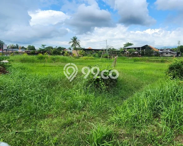 Untuk Dijual Tanah 800m2 di Baktiseraga, Buleleng Untuk Dijual Tanah 800m2 di Baktiseraga, Buleleng