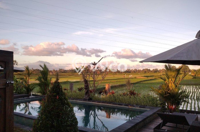 Vila Strategis Kawasan , Luas 0m2m², Kawasan Asri Vila Strategis Kawasan , Luas 0m2m², Kawasan Asri