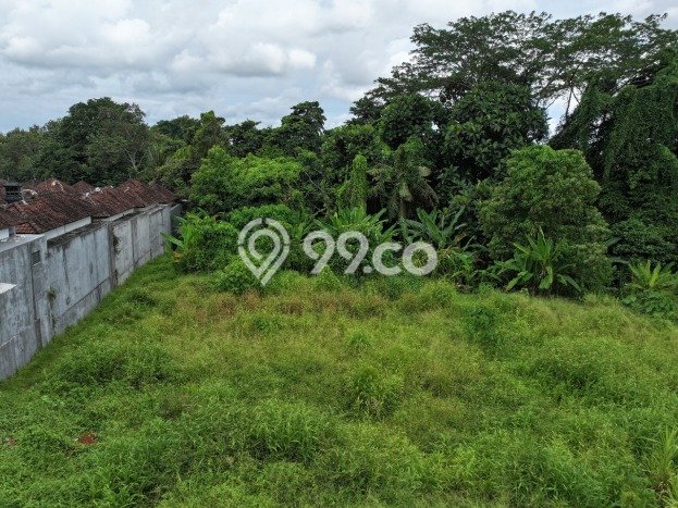 Lahan Disewakan di Pandakbandung, Tabanan, Luas 5500m2 SHM Lahan Disewakan di Pandakbandung, Tabanan, Luas 5500m2 SHM