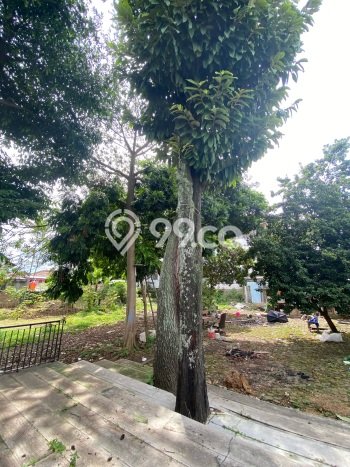 Rumah Bagus Disewakan di Setiabudi, Bandung LT 2200m2, LB 500m2 Rumah Bagus Disewakan di Setiabudi, Bandung LT 2200m2, LB 500m2