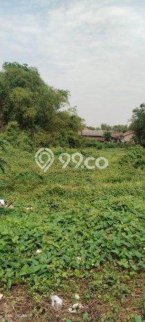 Jarang Ada! Tanah di Sidoarjo Punya Luas 984m2 SHM Jarang Ada! Tanah di Sidoarjo Punya Luas 984m2 SHM