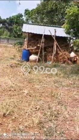 Tanah Area Potensial Kawasan Palang, Luas 12211m2m², Kawasan Asri, Dekat Palang, Tuban, Tuban Tanah Area Potensial Kawasan Palang, Luas 12211m2m², Kawasan Asri, Dekat Palang, Tuban, Tuban