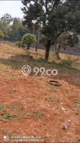Tanah Area Potensial Kawasan Palang, Luas 12211m2m², Kawasan Asri, Dekat Palang, Tuban, Tuban Tanah Area Potensial Kawasan Palang, Luas 12211m2m², Kawasan Asri, Dekat Palang, Tuban, Tuban