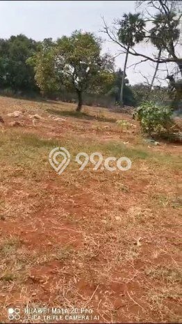 Tanah Area Potensial Kawasan Palang, Luas 12211m2m², Kawasan Asri, Dekat Palang, Tuban, Tuban Tanah Area Potensial Kawasan Palang, Luas 12211m2m², Kawasan Asri, Dekat Palang, Tuban, Tuban
