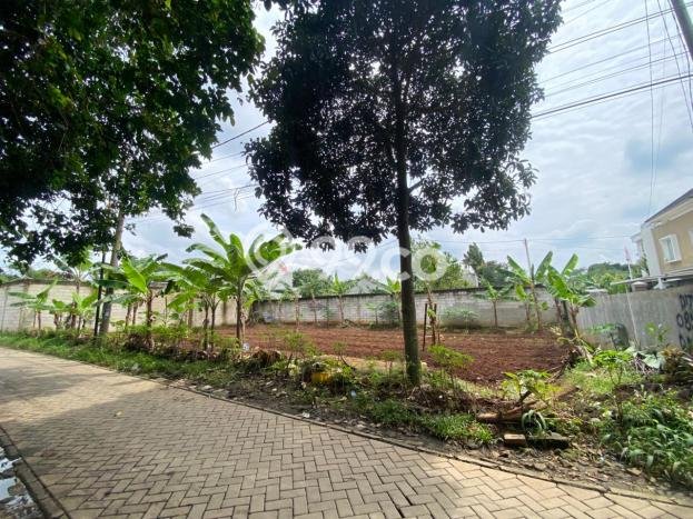 Kavling Tanah Dijual di Setu Tangerang Selatan Spesifikasi 196m2 Kavling Tanah Dijual di Setu Tangerang Selatan Spesifikasi 196m2