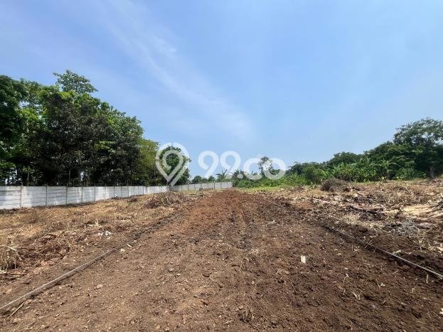Lahan untuk Dijual di Pagedangan Tangerang Luas 118m2 Lahan untuk Dijual di Pagedangan Tangerang Luas 118m2