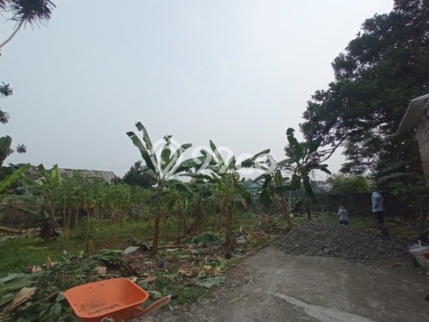 Lahan untuk Dijual di Sawangan Depok Luas 500m2 Lahan untuk Dijual di Sawangan Depok Luas 500m2
