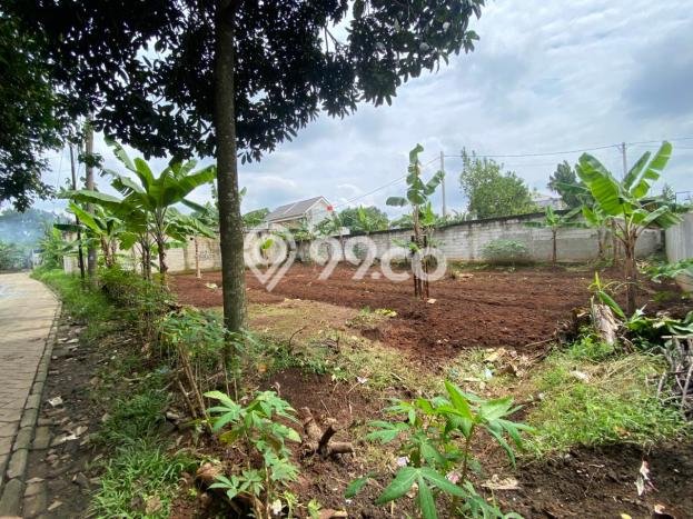 Kavling Tanah Dijual di Setu Tangerang Selatan Spesifikasi 196m2 Kavling Tanah Dijual di Setu Tangerang Selatan Spesifikasi 196m2