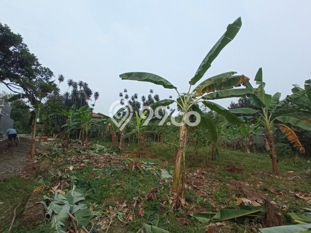 Kavling Tanah untuk Dijual di Cinangka, Depok, Luas 500m2 Kavling Tanah untuk Dijual di Cinangka, Depok, Luas 500m2