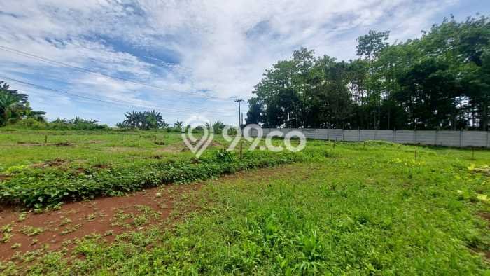 Tanah Dijual Lokasi Pagedangan, Tangerang Luas 118m2 Legalitas Aman Tanah Dijual Lokasi Pagedangan, Tangerang Luas 118m2 Legalitas Aman