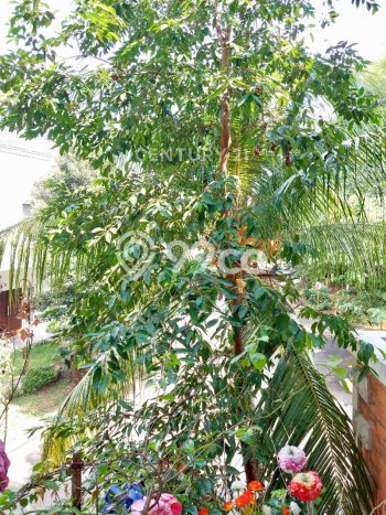 Rumah Luxury Siap Huni di Tangerang Selatan Fasilitas Premium Rumah Luxury Siap Huni di Tangerang Selatan Fasilitas Premium