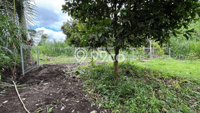 Lahan Dijual Lokasi Ubud, Gianyar dengan Luas Tanah 2093m2 dan Status SHM Lahan Dijual Lokasi Ubud, Gianyar dengan Luas Tanah 2093m2 dan Status SHM