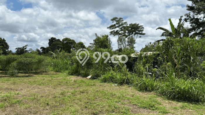 Lahan Dijual Lokasi Ubud, Gianyar dengan Luas Tanah 2093m2 dan Status SHM Lahan Dijual Lokasi Ubud, Gianyar dengan Luas Tanah 2093m2 dan Status SHM
