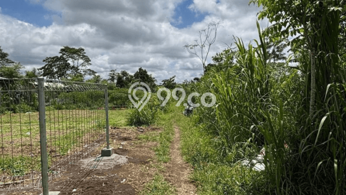 Lahan Dijual Lokasi Ubud, Gianyar dengan Luas Tanah 2093m2 dan Status SHM Lahan Dijual Lokasi Ubud, Gianyar dengan Luas Tanah 2093m2 dan Status SHM