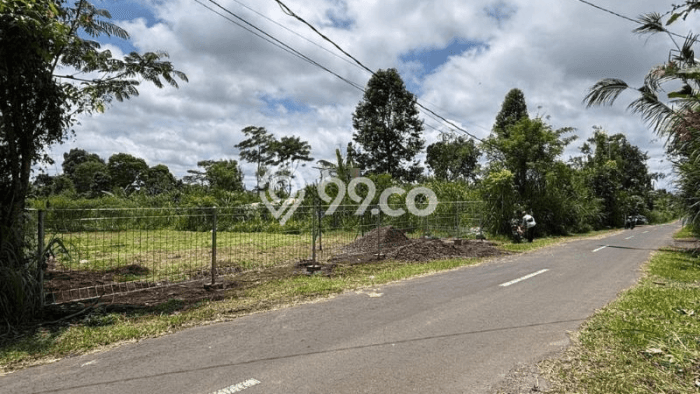 Lahan Dijual Lokasi Ubud, Gianyar dengan Luas Tanah 2093m2 dan Status SHM Lahan Dijual Lokasi Ubud, Gianyar dengan Luas Tanah 2093m2 dan Status SHM