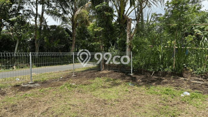 Lahan Dijual Lokasi Ubud, Gianyar dengan Luas Tanah 2093m2 dan Status SHM Lahan Dijual Lokasi Ubud, Gianyar dengan Luas Tanah 2093m2 dan Status SHM