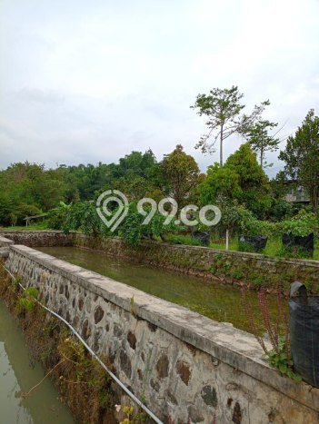 DIJUAL! Vila Kawasan , Area 35000m2m², Dekat Mudah Pusat Kota DIJUAL! Vila Kawasan , Area 35000m2m², Dekat Mudah Pusat Kota
