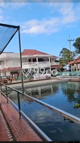 Disewakan Komersial Premium Kawasan Prigen, Luas 300m2m², Lokasi Komersial, Jalan Bagus Disewakan Komersial Premium Kawasan Prigen, Luas 300m2m², Lokasi Komersial, Jalan Bagus
