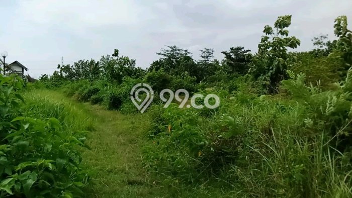Lahan untuk Dijual Lokasi Perak, Jombang Luas 22500m2 SHM Lahan untuk Dijual Lokasi Perak, Jombang Luas 22500m2 SHM