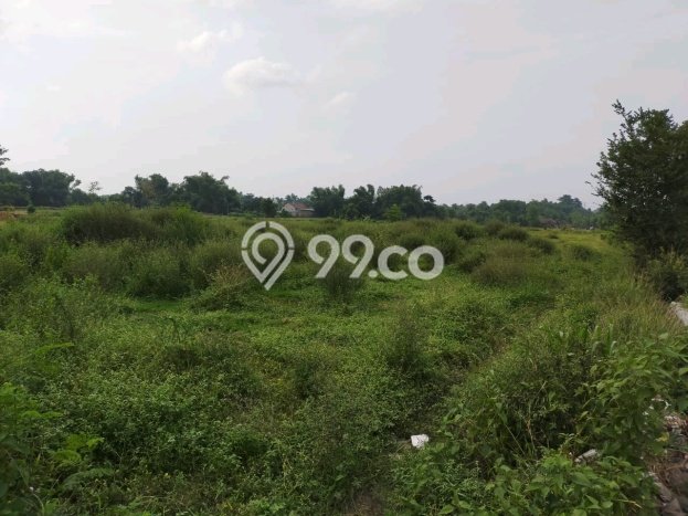 Tanah di Sukorejo, Pasuruan Luas 14339m2 Dijual Segera Tanah di Sukorejo, Pasuruan Luas 14339m2 Dijual Segera