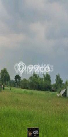 Tanah di Menganti, Luas 196m2m², Status SHM, Dekat Menganti, Gresik, Gresik Tanah di Menganti, Luas 196m2m², Status SHM, Dekat Menganti, Gresik, Gresik