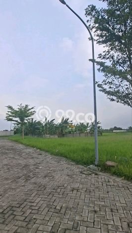 Tanah di Menganti, Luas 196m2m², Status SHM, Dekat Menganti, Gresik, Gresik Tanah di Menganti, Luas 196m2m², Status SHM, Dekat Menganti, Gresik, Gresik