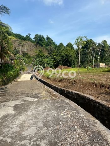 Tanah Komersial Dijual di Dawan Klungkung 100m2 Tanah Komersial Dijual di Dawan Klungkung 100m2