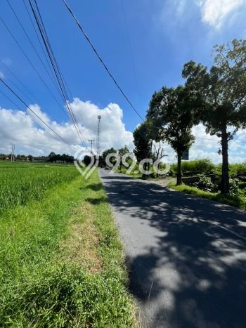 Dijual Tanah Lokasi Tulikup, Gianyar Seluas 2900m2 Dijual Tanah Lokasi Tulikup, Gianyar Seluas 2900m2