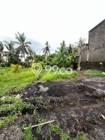 Lahan Dijual Lokasi Gianyar, Gianyar dengan Luas Tanah 330m2 dan Status SHM Lahan Dijual Lokasi Gianyar, Gianyar dengan Luas Tanah 330m2 dan Status SHM