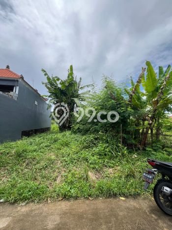 Tanah Komersial Dijual di Gianyar Gianyar 100m2 Tanah Komersial Dijual di Gianyar Gianyar 100m2