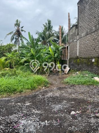 Lahan Dijual Lokasi Gianyar, Gianyar dengan Luas Tanah 330m2 dan Status SHM Lahan Dijual Lokasi Gianyar, Gianyar dengan Luas Tanah 330m2 dan Status SHM
