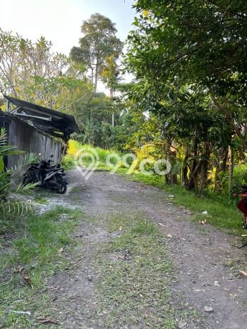 Tanah Kavling Dijual di Bakbakan, Gianyar dengan Luas Tanah 950m2 Tanah Kavling Dijual di Bakbakan, Gianyar dengan Luas Tanah 950m2