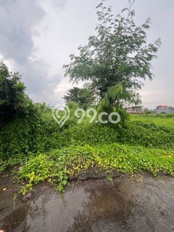 Kavling Tanah Dijual di Gianyar Gianyar Spesifikasi 150m2 Kavling Tanah Dijual di Gianyar Gianyar Spesifikasi 150m2